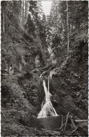 Allemagne Bonndorf Im Sudl  Hoschwarwald  850-950 M  In Der Lothenbach Klamm - Bonndorf