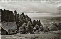 Delcampe - Allemagne  Waldeck  Gasthaus Zum  Waldeck - Waldeck