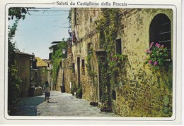 ITALIE - ITALIA - ITALY ( Europe ) - SALUTI Da CASTIGLIONE Della Pescaia -Rue Ospedale - Via Delle'Ospedale - Grosseto