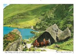 IRLANDE---KERRY---pony Trekking In The Gap Of Dunloe, Killarney, Co. Kerry--voir 2 Scans - Kerry