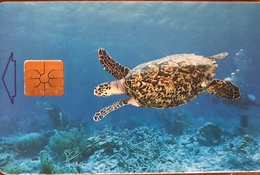 ANTILLES NEERLANDAISES - BONAIRE - Turtle  -  60 Ut. - Antillen (Nederlands)