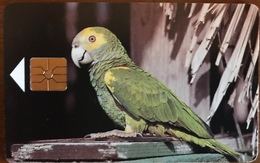 ANTILLES NEERLANDAISES - BONAIRE  -  Parrot  -  20 Ut. - Antillen (Nederlands)