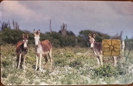 ANTILLES NEERLANDAISES - BONAIRE - Donkey  -  20 Units - Antillas (Nerlandesas)