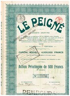 Titre Ancien - Le Peigné - Société Anomyme - Titre De 1920 - Textile