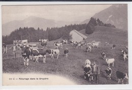 Enney,  Chalet "Le Mont". Armaillis Et Vaches Au Pâturage - Enney