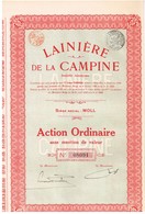 Titre Ancien - Lainière De La Campine - Société Anonyme - Titre De 1925 - Textile