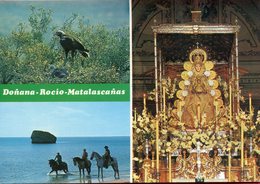 Espagne - Andalucia - Parque Nacional Doñana - Ntra. Señora Del Rocio - Matalascañas - Gasan 2597 XXII - - Huelva