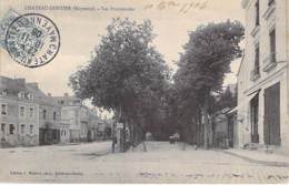 53 - CHATEAU GONTIER : Les Promenades - CPA - Mayenne - Chateau Gontier