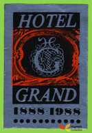 Voyo HOTEL GRAND Lodz Poland Hotel Label  Sticker 1988 Vintage Commemorative Metallized - Adesivi Di Alberghi