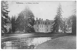 Malicorne Sarthe Château Vue Générale 1915  état Superbe - Malicorne Sur Sarthe