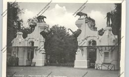 2000 HAMBURG - STELLINGEN, Hagenbeck, Zoo, Haupteingang, 1955 - Stellingen