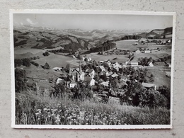 CPSM SUISSE OBERHELFENSCHWIL 1962 - Oberhelfenschwil