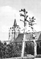 St-Laurentius Kerk - Zedelgem - Zedelgem