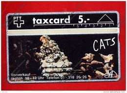 SWITZERLAND:Κ-91/76E  L&G PRIVATE TK  "Musical Cats 5" CN:209L (2.000ex) - Zwitserland