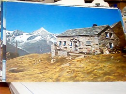 SUISSE SVIZZERA SWITZERLAND  Täschhütte SAC Mit Weisshorn  Valais RIFUGIO N1980 HJ3724 - Täsch