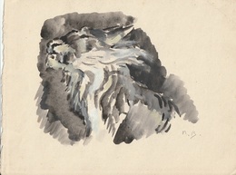 Delcampe - Dessin D'étude Robert Breitwieser Félin Signé RB - Dessins