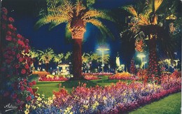 06 - NICE - Le Jardin Du Roi Albert 1er - Nice La Nuit