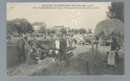 Grandes Manoeuvres Du Centre ( 1908) Parc De Ravitaillement De Bétail,Vaches Gardées Et Traites Par Les Soldats Maca0589 - Manoeuvres