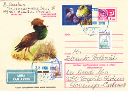 SSSR / RUSSIA, Birds , Ruff, Kamplaufer - Covers & Documents