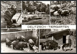 D2666 - TOP Delitzsch Tiergarten Zoo Tierpark  - Bild Und Heimat Reichenbach - Delitzsch