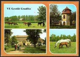 D2667 - TOP Graditz VE Gestüt Pferde  - Bild Und Heimat Reichenbach - Torgau