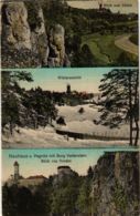 CPA AK Neuhaus A. D. Pegnitz - Burg Veldenstein - Views GERMANY (918947) - Pegnitz