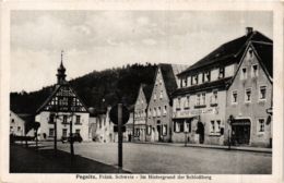 CPA AK Pegnitz - Im Hintergrund Der Schlossberg GERMANY (918957) - Pegnitz