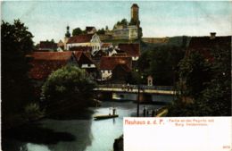 CPA AK Neuhaus A. D. Pegnitz - Partie An Der Pegnitz - Burg GERMANY (918960) - Pegnitz