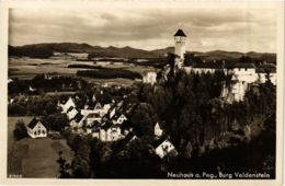 CPA AK Neuhaus A. D. Pegnitz - Burg Veldenstein - Panorama GERMANY (918976) - Pegnitz