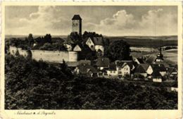 CPA AK Neuhaus A. D. Pegnitz - Burg Veldenstein - View GERMANY (918982) - Pegnitz