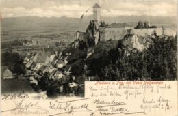 CPA AK Neuhaus A. D. Pegnitz - Veste Veldenstein - Panorama GERMANY (918991) - Pegnitz