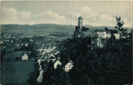 CPA AK Neuhaus A. D. Pegnitz - Burg Veldenstein - Panorama GERMANY (919023) - Pegnitz