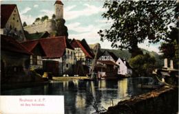 CPA AK Neuhaus A. D. Pegnitz - Burg Veldenstein - Town Scene GERMANY (919036) - Pegnitz