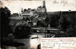 CPA AK Neuhaus A. D. Pegnitz - Partie An Der Pegnitz - Burg GERMANY (919038) - Pegnitz