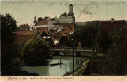 CPA AK Neuhaus A. D. Pegnitz - Partie An Der Pegnitz - Burg GERMANY (919039) - Pegnitz