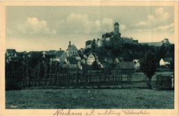 CPA AK Neuhaus A. D. Pegnitz - Burg Veldenstein - Panorama GERMANY (919047) - Pegnitz