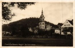 CPA AK Pegnitz - Am Schlossberg GERMANY (919052) - Pegnitz