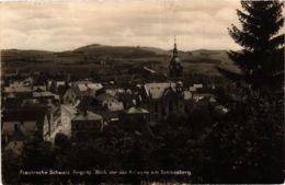 CPA AK Pegnitz - Blick Von Den Anlagen Am Schlossberg GERMANY (919062) - Pegnitz