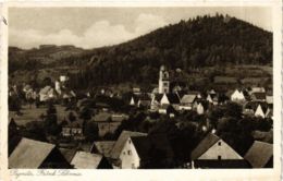 CPA AK Pegnitz - Panorama GERMANY (919086) - Pegnitz