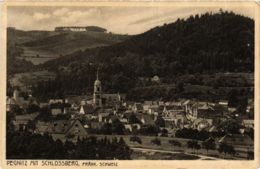 CPA AK Pegnitz - Pegnitz Mit Schlossberg GERMANY (919088) - Pegnitz