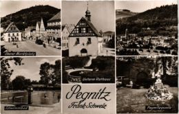 CPA AK Pegnitz - Scenes GERMANY (919089) - Pegnitz