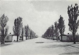 Allemagne  Dachau   Lagerstabe  Rue Principale Dans Le Camp - Dachau