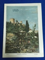 ANTIQUE SPAIN MAGAZINE IRIS 16 MARZO DE 1901 Nº 97 ARTS AND OTHERS THEMES - [1] Tot 1980