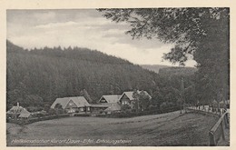 DAUN  (Eifel)    Heilklimatischer Kurort  Daun-Eifel  Erholungsheim   PAS COURANT - Daun