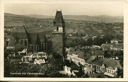 Panorama Von Perchtoldsdorf  1931  (007991) - Perchtoldsdorf