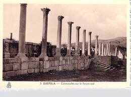 Afrique ALGERIE (wilaya De Sétif)  DJEMILA  Colonnades  Sur Le Forum-sud (cité Antique) -  Photo Albert EPA 5 *PRIX FIXE - Setif