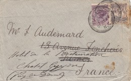 COVER. NEW-ZEALAND. 5 JUY 1899. WILLINGTON TO FRANCE - Brieven En Documenten