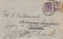 COVER. NEW-ZEALAND. 5 JUY 1899. WILLINGTON TO FRANCE - Storia Postale