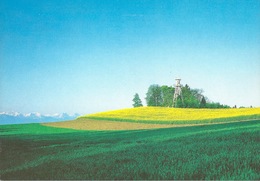Reinach - Aussichtsturm        Ca. 1980 - Reinach