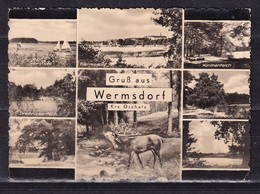 464L * GRUSS AUS WERMSDORF * KREIS OSCHATZ * IN 8 ANSICHTEN **!! - Wermsdorf